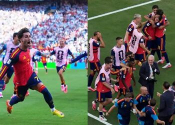 FIFA World Cup Final: एक्स्ट्रा टाइम में बदला मैच , स्पेन बना चैंपियन, किसके गोल ने तोड़ा अर्जेंटीना का सपना