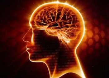 Brain Health: याददाश्त होगी मजबूत और दिमाग रहेगा एक्टिव, जानिए पर्याप्त नींद से लेकर बैलेंस्ड डाइट, स्ट्रेस मैनेजमेंट तक