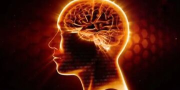Brain Health: याददाश्त होगी मजबूत और दिमाग रहेगा एक्टिव, जानिए पर्याप्त नींद से लेकर बैलेंस्ड डाइट, स्ट्रेस मैनेजमेंट तक