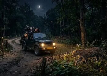 Lucknow Night Safari