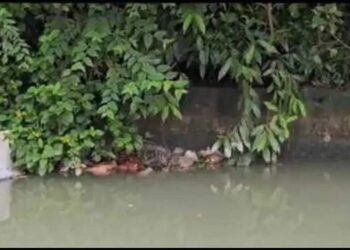 Lucknow Sharda Canal Dead Body
