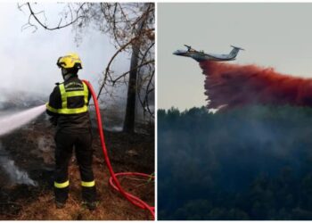 Forest Fire: फ्रांस-स्पेन के जंगल की आग ने मचाई भारी तबाही, 3 लाख से ज्यादा लोगों को छोड़ना पड़ा घर कारोबार