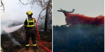 Forest Fire: फ्रांस-स्पेन के जंगल की आग ने मचाई भारी तबाही, 3 लाख से ज्यादा लोगों को छोड़ना पड़ा घर कारोबार
