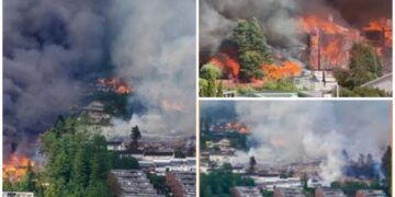Norway Massive Fire: नॉर्वे में 100 वर्षों की सबसे भीषण आग से मची तबाही, 100 घर जलकर खाक , 400 लोग बचाए गए