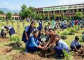Tree Plantation Campaign: पर्यावरण संरक्षण में यूपी ने लगाई लंबी छलांग, एक दिन में 35.27 करोड़ से ज्यादा पौधे लगा रचा इतिहास