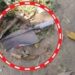 Gonda 7 Year Old Boy Attacks Father