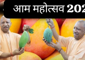 UP Mango Festival 2026