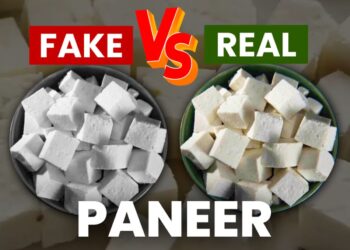 Fake Paneer Alert: नकली पनीर का बढ़ता कारोबार बना सेहत पर खतरा, ऐसे करें असली-नकली की पहचान