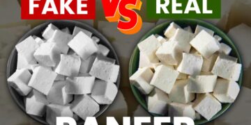 Fake Paneer Alert: नकली पनीर का बढ़ता कारोबार बना सेहत पर खतरा, ऐसे करें असली-नकली की पहचान