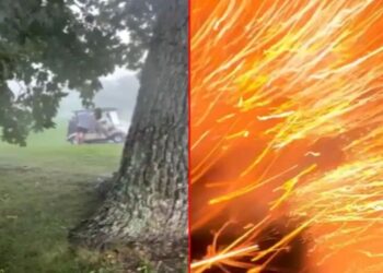 Lightning Strike: पेड़ के नीचे खड़े गोल्फर पर गिरी बिजली, मोबाइल कैमरे में कैद हुआ खौफनाक पल