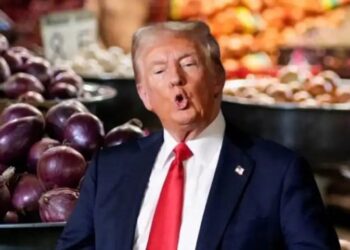 Onion Market Scam: प्याज से हिला था अमेरिका? क्यों फ्यूचर ट्रेडिंग पर हमेशा के लिए लगी रोक