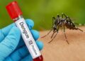Dengue Prevention: पंजाब में डेंगू को लेकर सरकार अलर्ट, घर-घर निगरानी और इलाज की व्यवस्था हो रही मजबूत