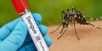 Dengue Prevention: पंजाब में डेंगू को लेकर सरकार अलर्ट, घर-घर निगरानी और इलाज की व्यवस्था हो रही मजबूत
