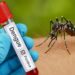 Dengue Prevention: पंजाब में डेंगू को लेकर सरकार अलर्ट, घर-घर निगरानी और इलाज की व्यवस्था हो रही मजबूत