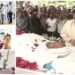 BSP MLA Umashankar Singh Death