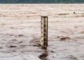 Uttarakhand Rain: ऋषिकेश में चेतावनी स्तर से ऊपर पहुंचा गंगा का पानी, त्रिवेणी घाट कराया गया खाली