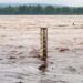 Uttarakhand Rain: ऋषिकेश में चेतावनी स्तर से ऊपर पहुंचा गंगा का पानी, त्रिवेणी घाट कराया गया खाली