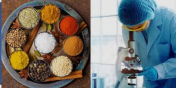 Unsafe Spices in India: भारत की इन मसाला कंपनियों पर उठा बड़ा सवाल, जांच में केवल इतने मसाले खाने के लिए ही असुरक्षित मिले