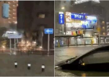 Japan Rain Alert: 3 महीने जितना पानी एक दिन में  बरसा टोक्यो बना ताल तलैया, बारिश से मची तबाही, यात्री एयरपोर्ट पर फंसे, 8 मरे
