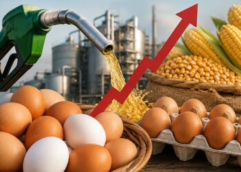 Egg Price Hike: मंहगाई की दौड़ में शामिल हो गए अंडे? जाने क्या है आज का रेट