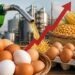 Egg Price Hike: मंहगाई की दौड़ में शामिल हो गए अंडे? जाने क्या है आज का रेट
