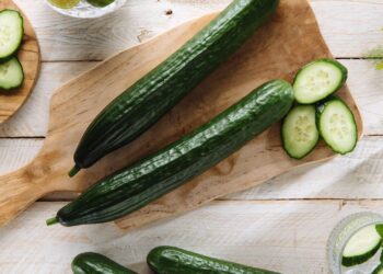Cucumber Benefits: खीरा खाने से पहले छिलका उतारना होता है सही या ग़लत? आइए जानते हैं