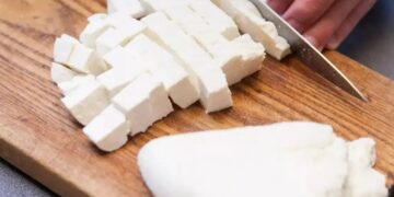 Analog Paneer