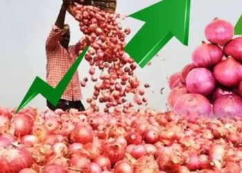 Onion Price Hike