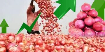 Onion Price Hike