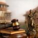 Supreme Court Government Job Qualification