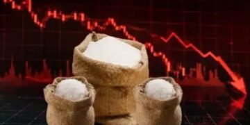 Sugar Stocks: सरकार के कौन से नए इंपोर्ट नियम से चीनी शेयरों में आया भूचाल, कितना  टूटे स्टॉक्स
