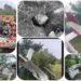 Kanpur Plane Crash