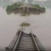 UP Flood Alert