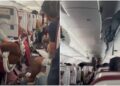 Aviation Explainer: क्या गांजा पीकर प्लेन उड़ा रहा था Air India का पायलट? 300 फीट नीचे गिरी थी फ्लाइट, 24 हुए थे घायल