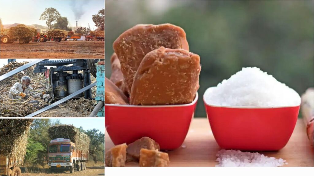 Sugar Price In India