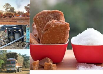 Sugar Price In India