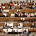 Germany Education: भारतीय छात्रों का कौन सा देश बना फेवरेट, कम खर्च में बेहतरीन ,पढ़ाई नौकरी के मौके अपार