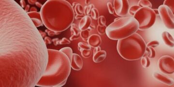 Hemoglobin Level: क्या हीमोग्लोबिन का ज़्यादा होना भी है चिंता की बात? जाने किन बिमारियों को मिल सकता है बढ़ावा