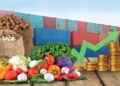 Rising Grocery Prices:  आम आदमी की रसोई पर पड़ेगी महंगाई की मार ?जाने कौन से ज़रूरी सामान होंगे महंगे