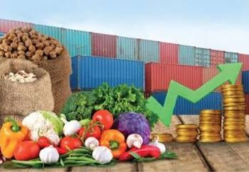 Rising Grocery Prices:  आम आदमी की रसोई पर पड़ेगी महंगाई की मार ?जाने कौन से ज़रूरी सामान होंगे महंगे