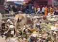 Vrindavan Cleanliness: परिक्रमा मार्ग पर दुर्गंध और कचरे से परेशान श्रद्धालु,प्रशासन से स्थायी समाधान की मांग