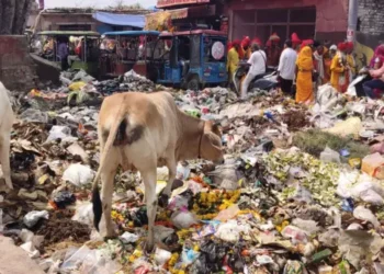 Vrindavan Cleanliness: परिक्रमा मार्ग पर दुर्गंध और कचरे से परेशान श्रद्धालु,प्रशासन से स्थायी समाधान की मांग