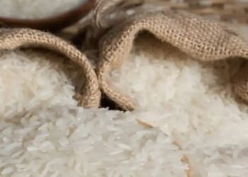 India International Rice Conference 2026