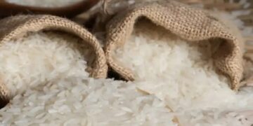 India International Rice Conference 2026