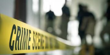 Bengaluru twin babies death