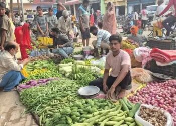 Vegetable Rates: आजादपुर मंडी में ₹2 किलो आलू, ₹20 प्याज; जानिए दिल्ली के बाजार में कितने हैं किसके रेट