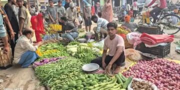 Vegetable Rates: आजादपुर मंडी में ₹2 किलो आलू, ₹20 प्याज; जानिए दिल्ली के बाजार में कितने हैं किसके रेट