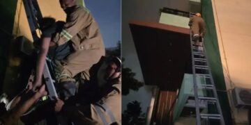 Kanpur Fire: तीन मंजिला मकान में लगी भीषण आग, नींद से जागे लोगों ने मचाया शोर, दोनों परिवार सुरक्षित