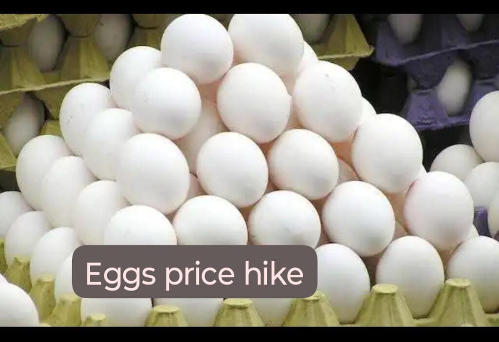 Egg Chicken Milk Price Hike