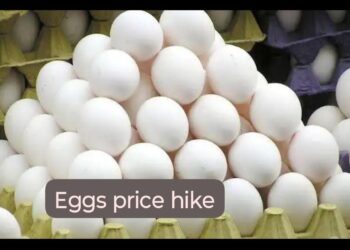 Egg Chicken Milk Price Hike